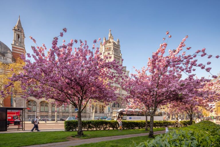 west end area 1 768x512