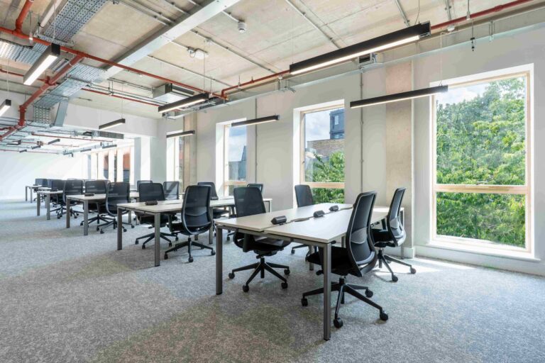 LVL 4 2 11zon 768x512