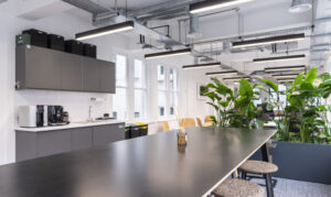Mayfair Kitchen 300x179